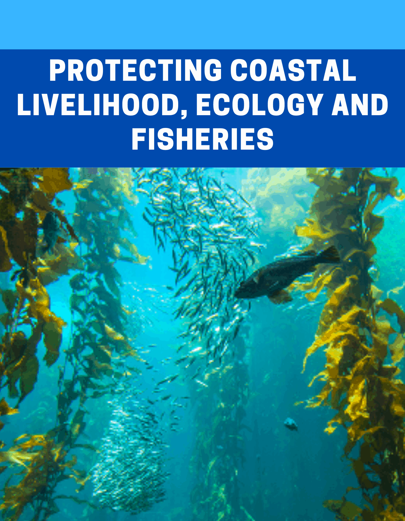 Read more about the article Protecting Coastal Livelihood, Ecology and Fisheries