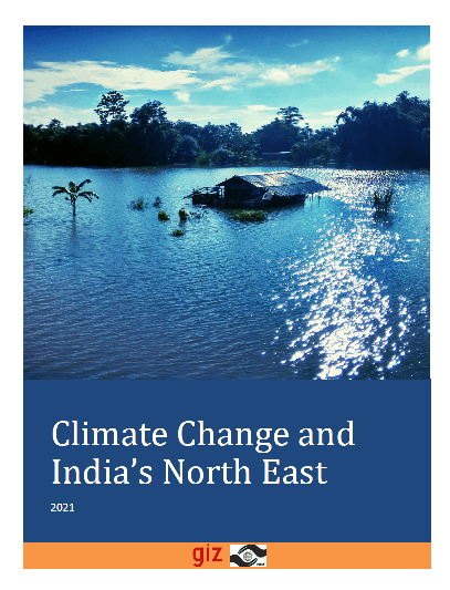 Climate Change And NEI 
